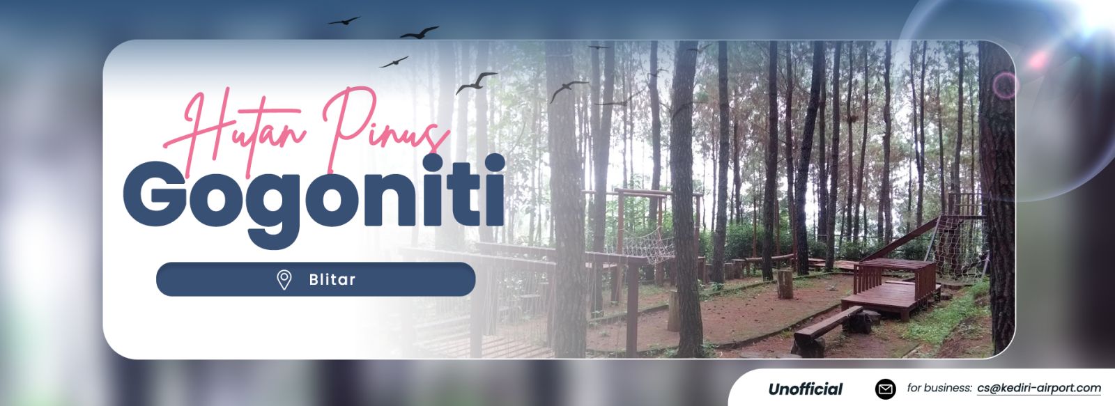 Gogoniti Pine Forest