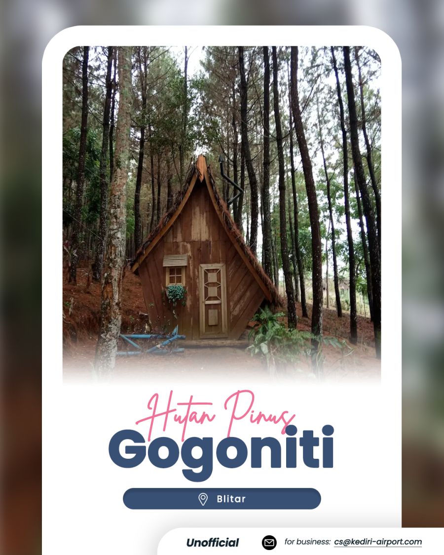 Gogoniti Pine Forest